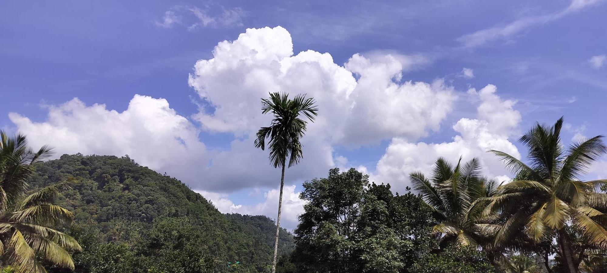 Himadri Munnar Holidays 外观 照片